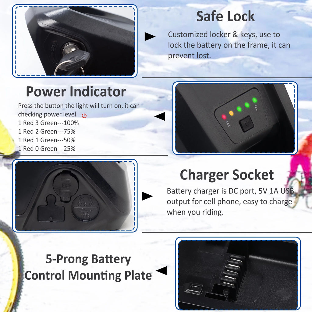 48V 10Ah Lithium Ebike Battery with Charger M249966