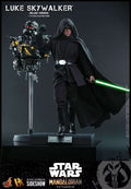 Luke Skywalker Collectible Figure B5474