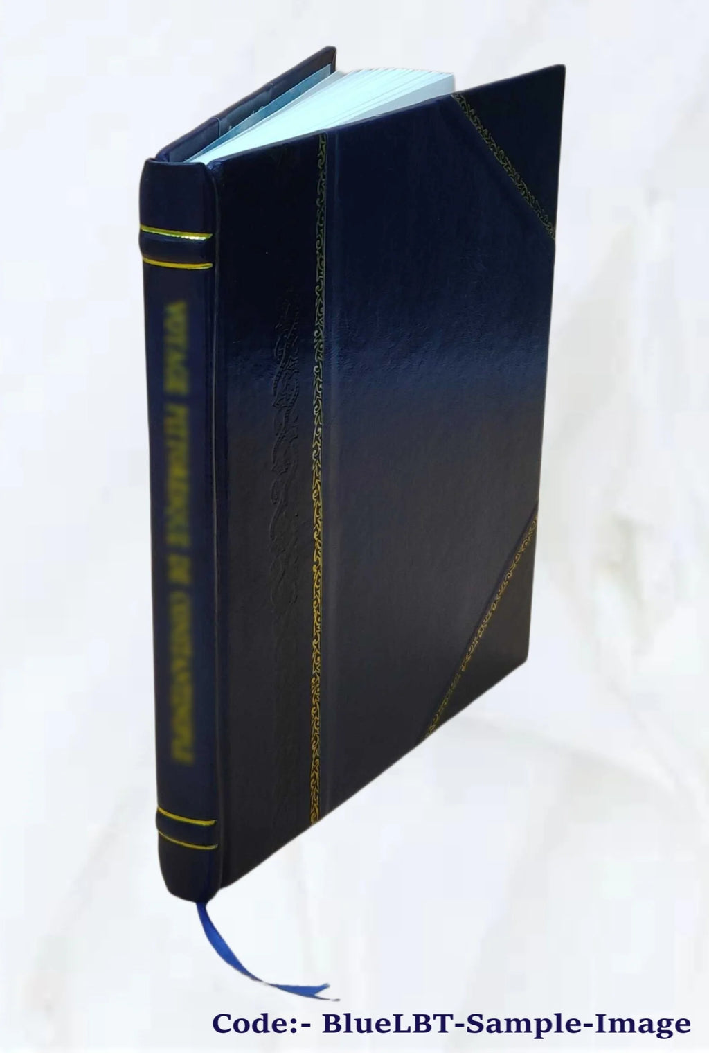Leather Bound Book B213293
