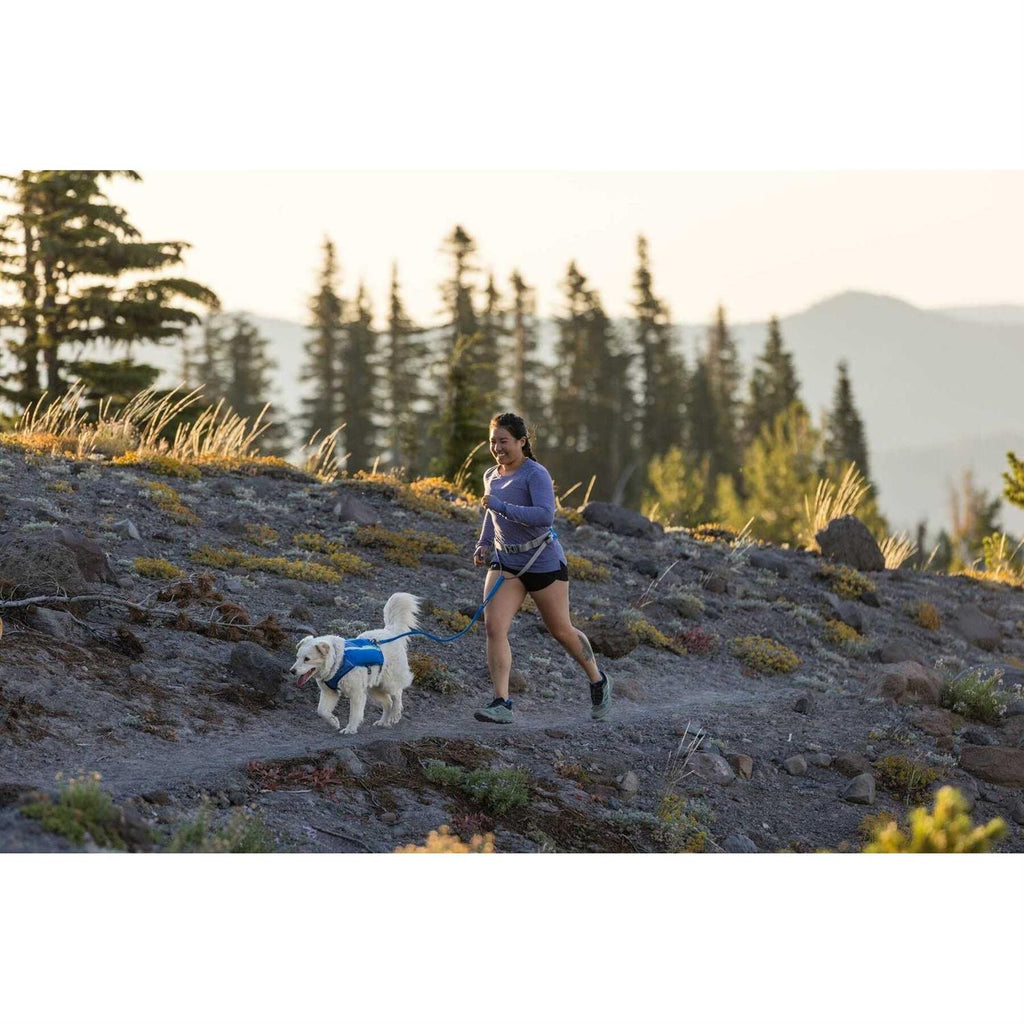 Trail Runner Belt M386