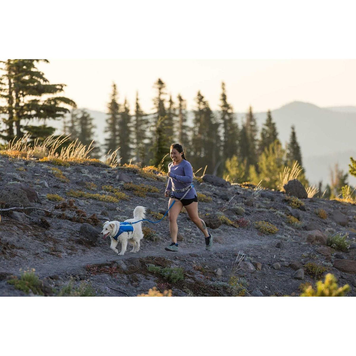 Trail Runner Belt M386