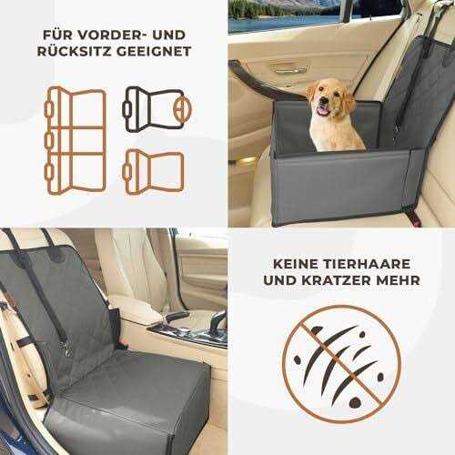 Extra Stable Dog Car Seat for Small to Medium-Sized Dogs V20817