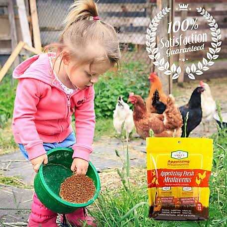 Fresh Mealworms Treats Z212568