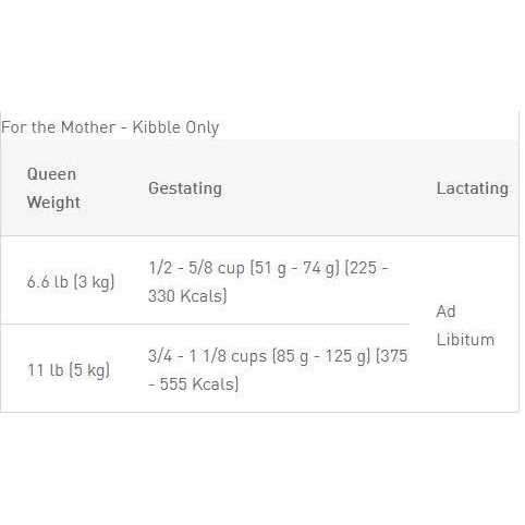 Dry Cat Food H93156