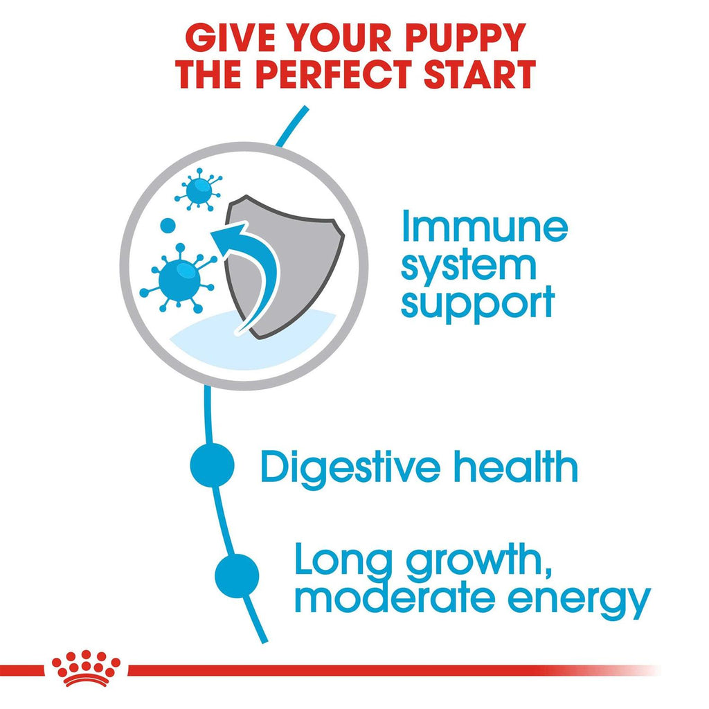 Large Breed Puppy Dry Dog Food C7231