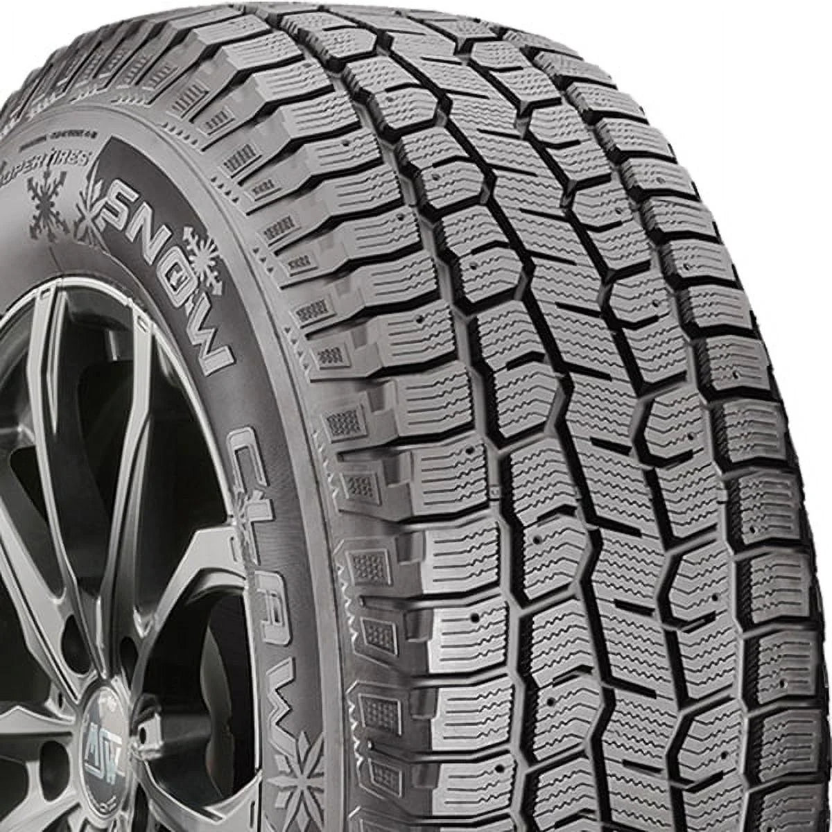Winter Light Truck Tire T874