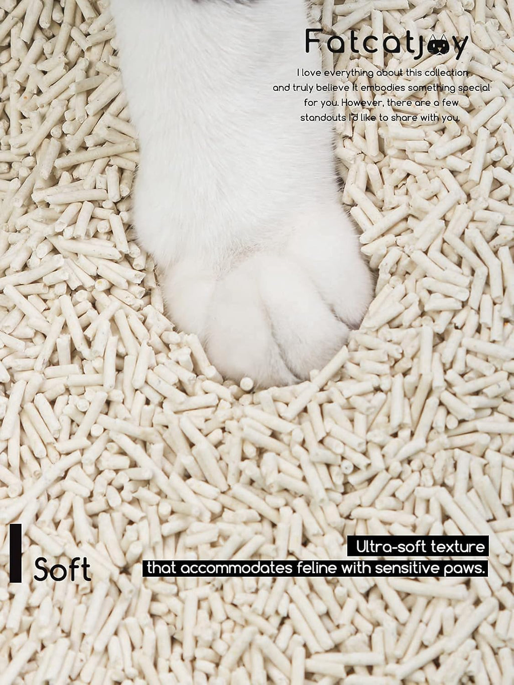 Flushable Clumping Natural Unscented Cat Litter (5.5lb x 3Pack) B757