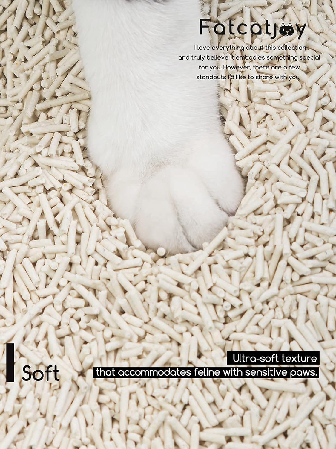 Flushable Clumping Natural Unscented Cat Litter (5.5lb x 3Pack) B757