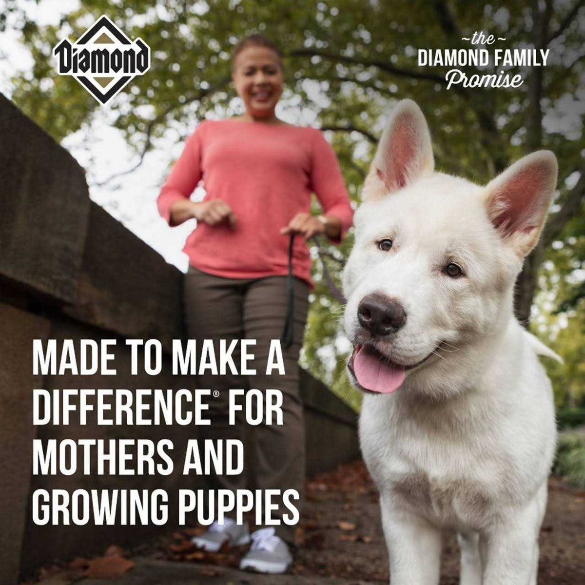 Puppy Food U904030
