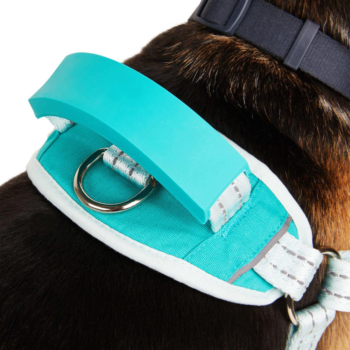 Easy On Training Dog Harness T16917
