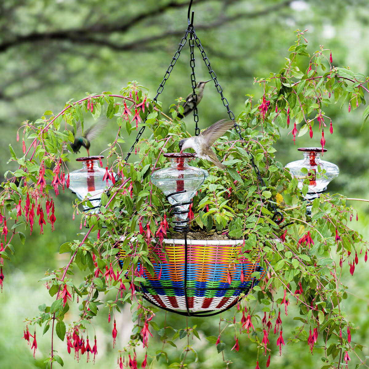Hanging Basket Hummingbird Feeder A821