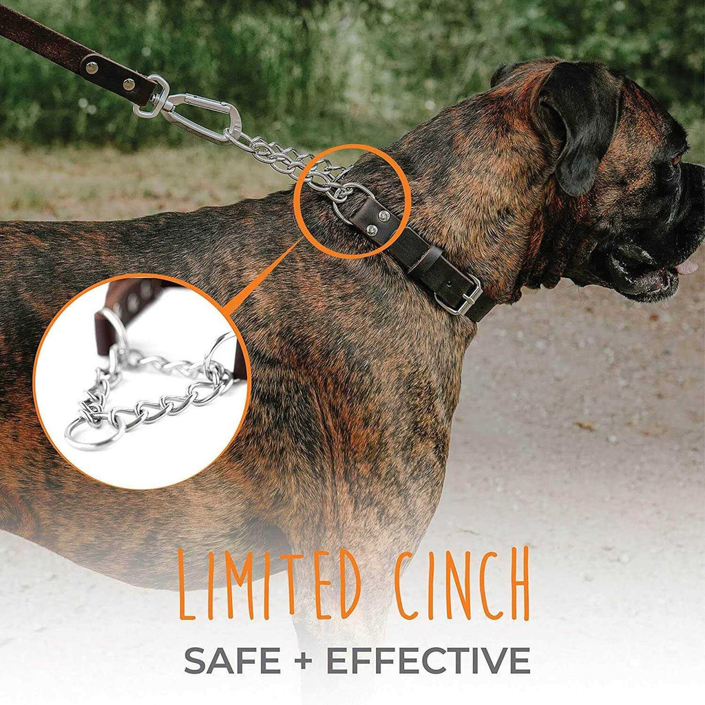 Leather Martingale Collar Q759636