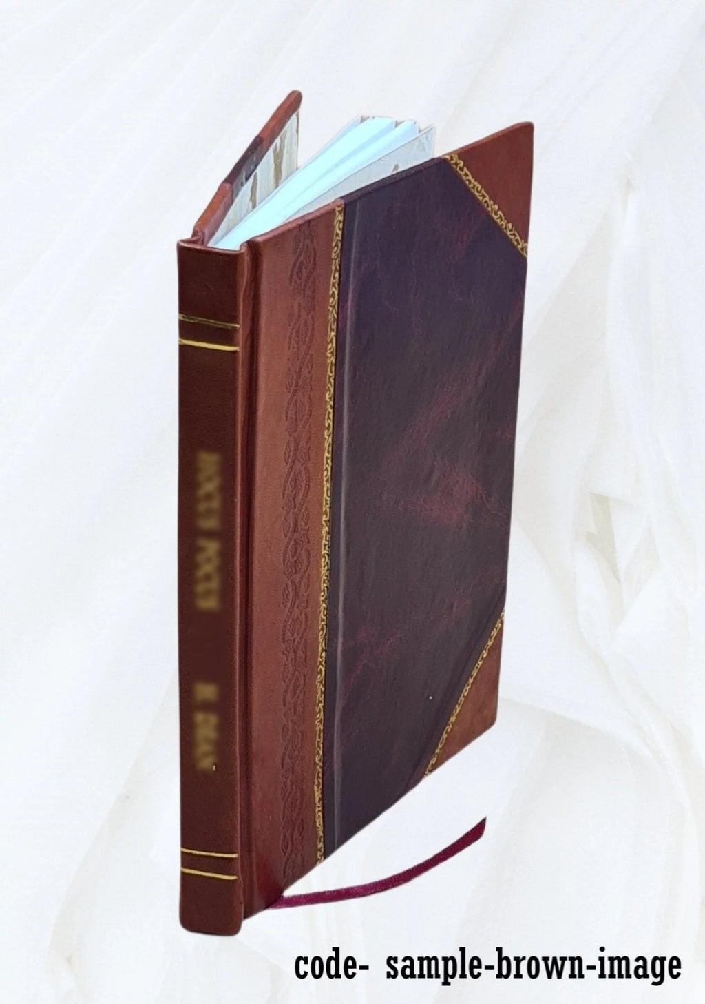 Park and Playground System Plan Leather Bound V8723