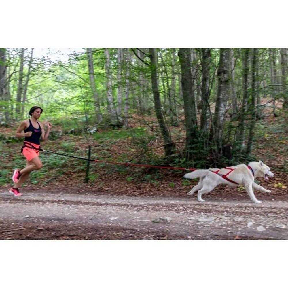 Dog Pulling Harness A568