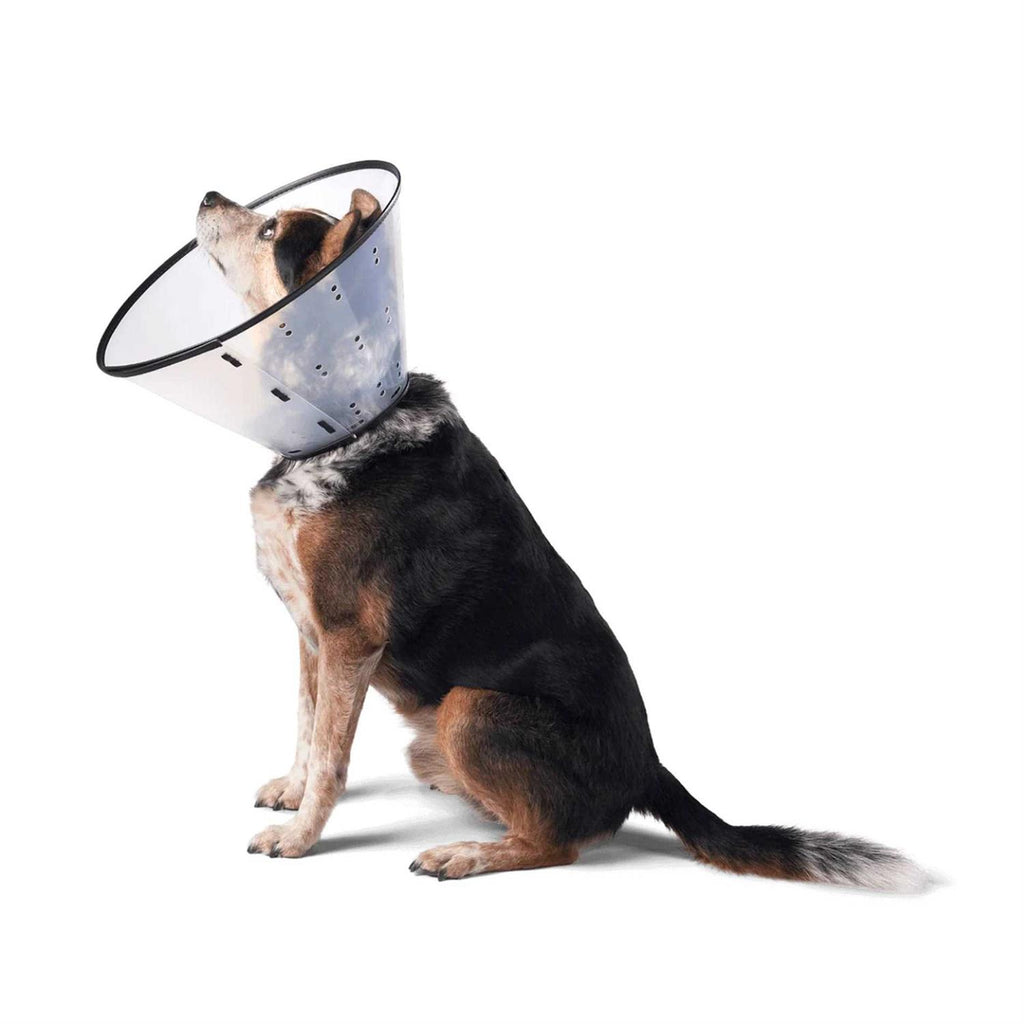 Dogswell E-Collar L72697