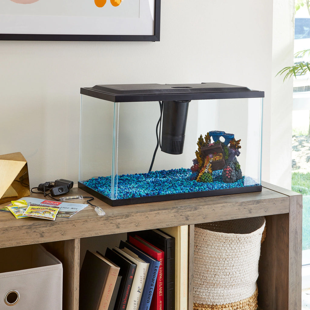 10-Gallon Glass Aquarium Starter Kit K618055