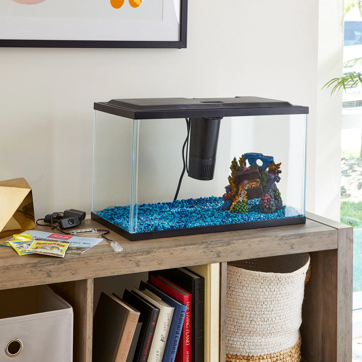 10-Gallon Glass Aquarium Starter Kit K618055