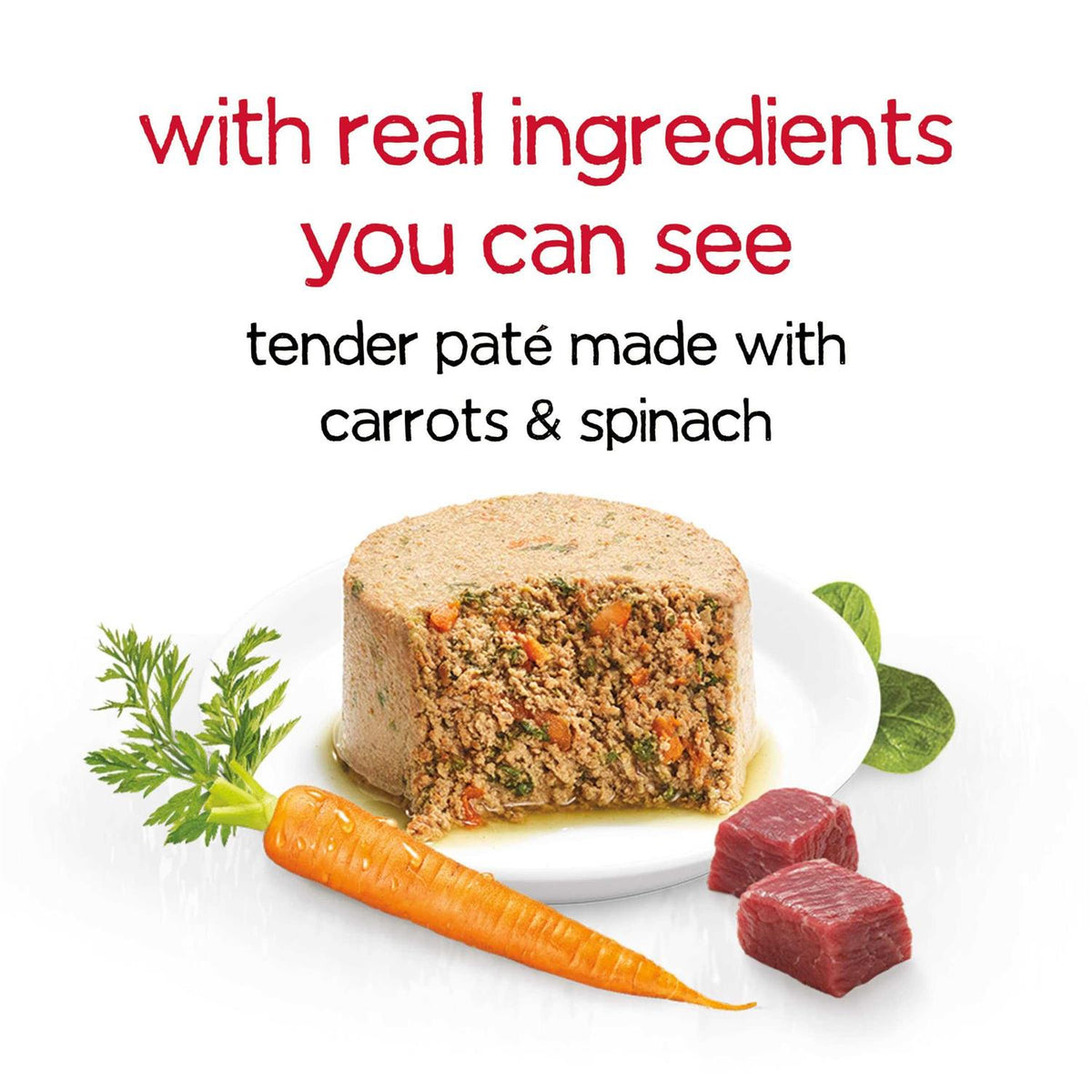 Dog Food B58289