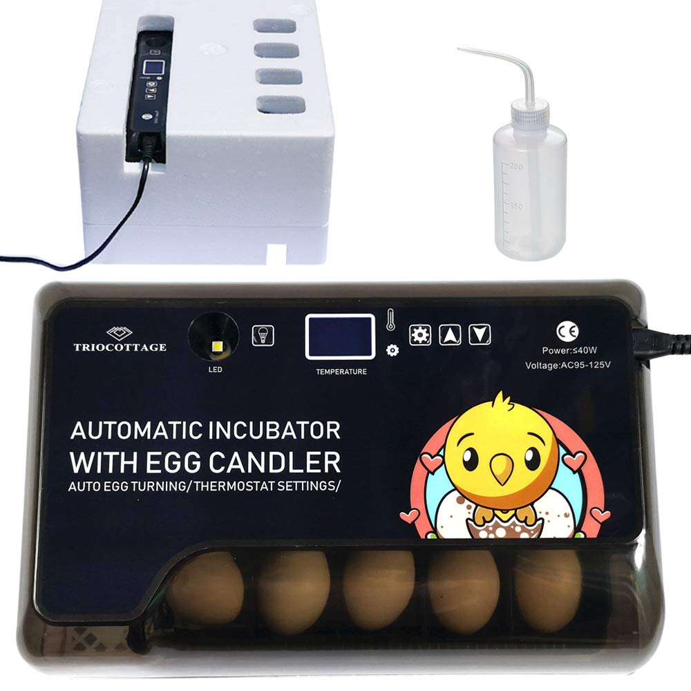 Egg Incubator with Digital Temperature Humidity and Built-in Eggs Candler V2974