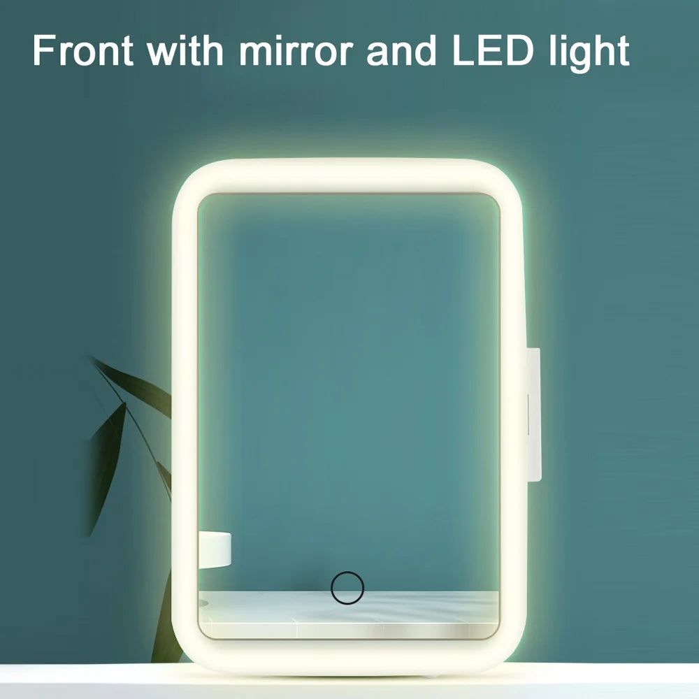 Portable Car Fridge Cooler Warmer 4L with LED Light X3602