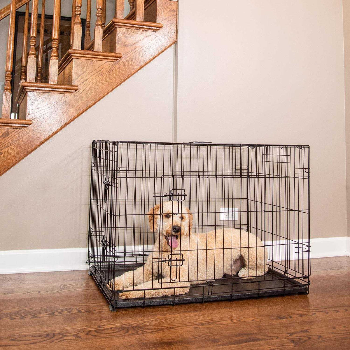 Single-Door Dog Crate U62011