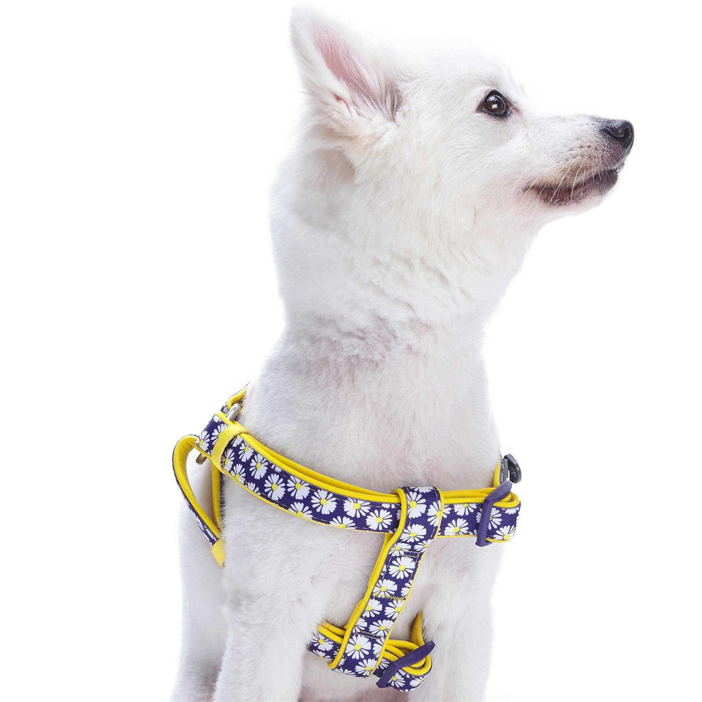 Step Dog Harness O1252