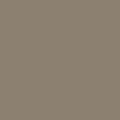 Pantone TPG Sheet 17-1310 Timber Wolf B5186
