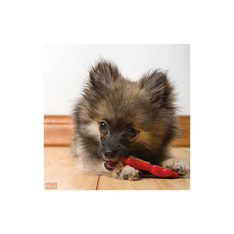 Dog Chew Toy Treat B671245