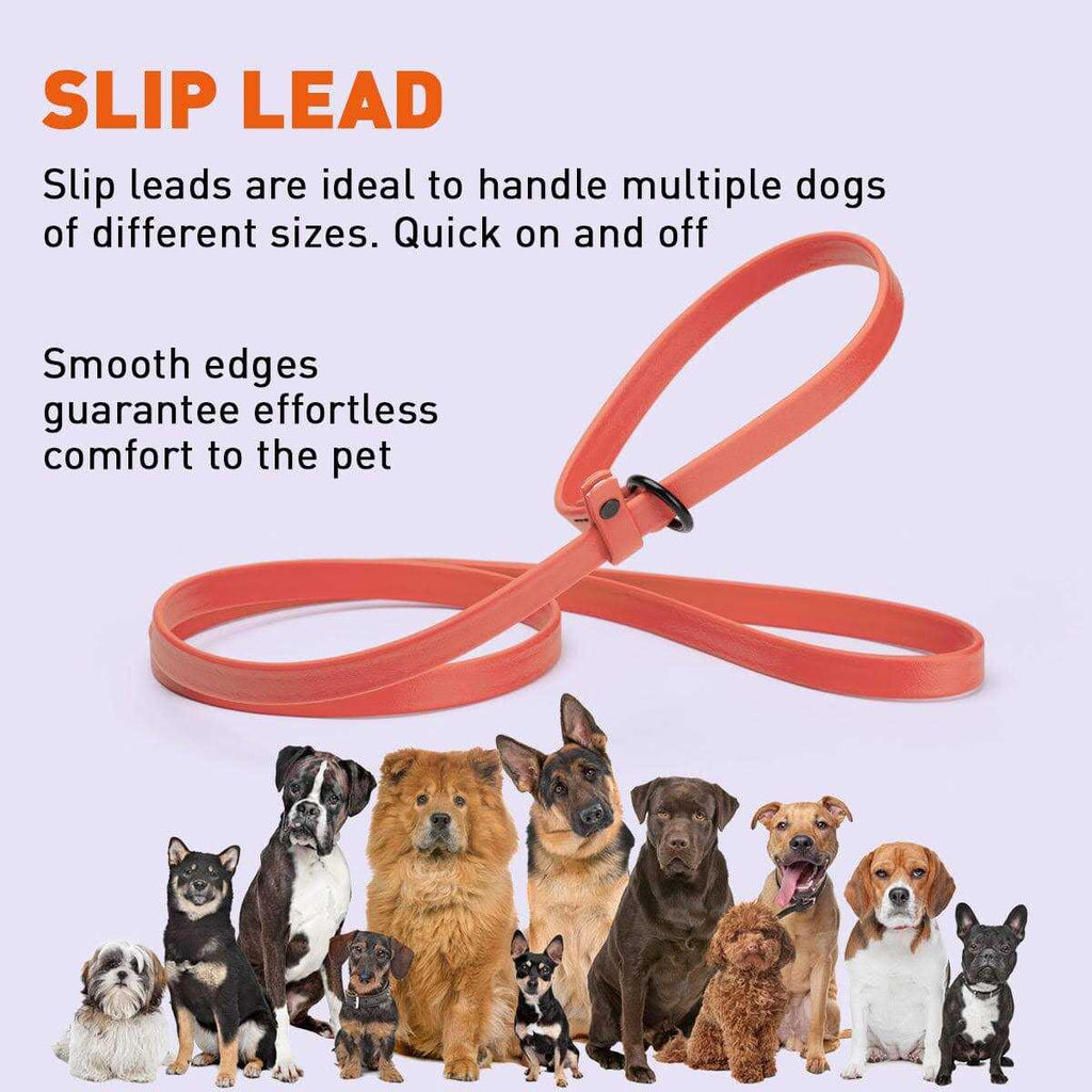 Biothane Slip Dog Leash Z804