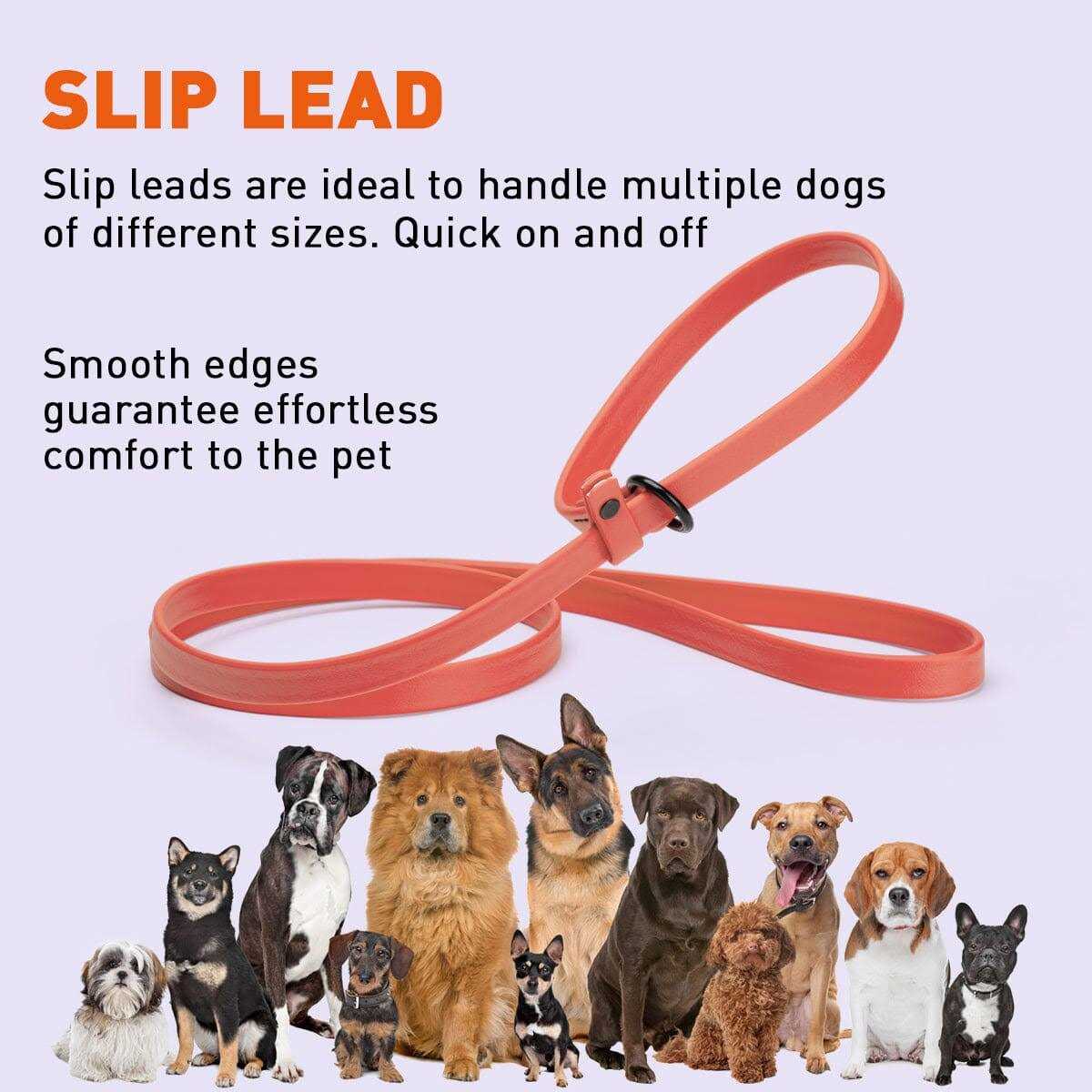 Biothane Slip Dog Leash Z804