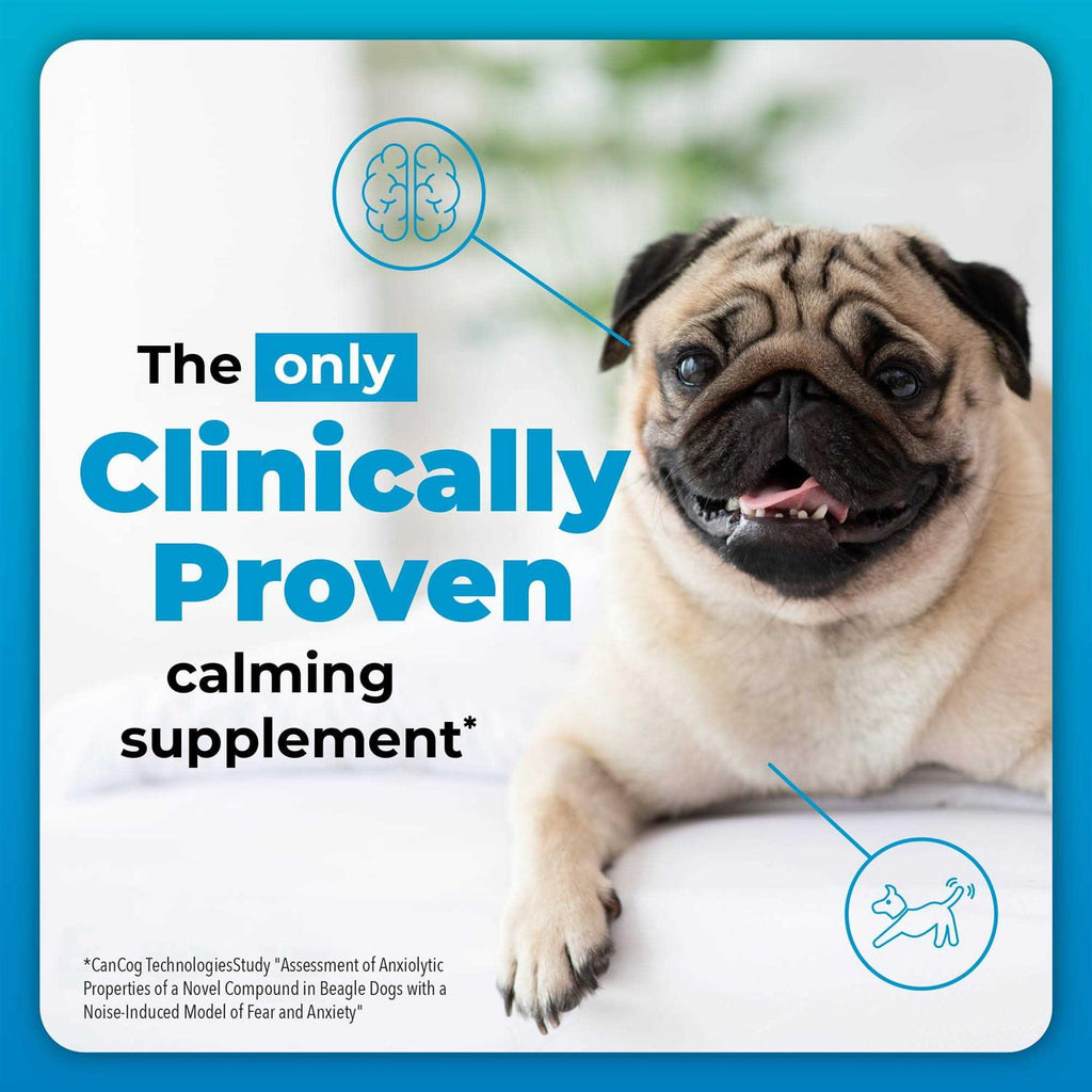 Calming Supplement for Dogs G2776