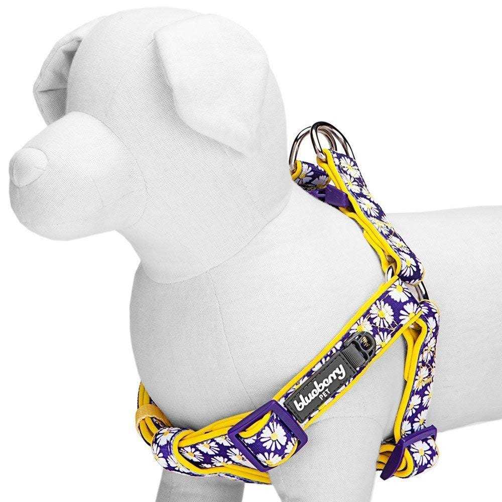 Step Dog Harness O1252