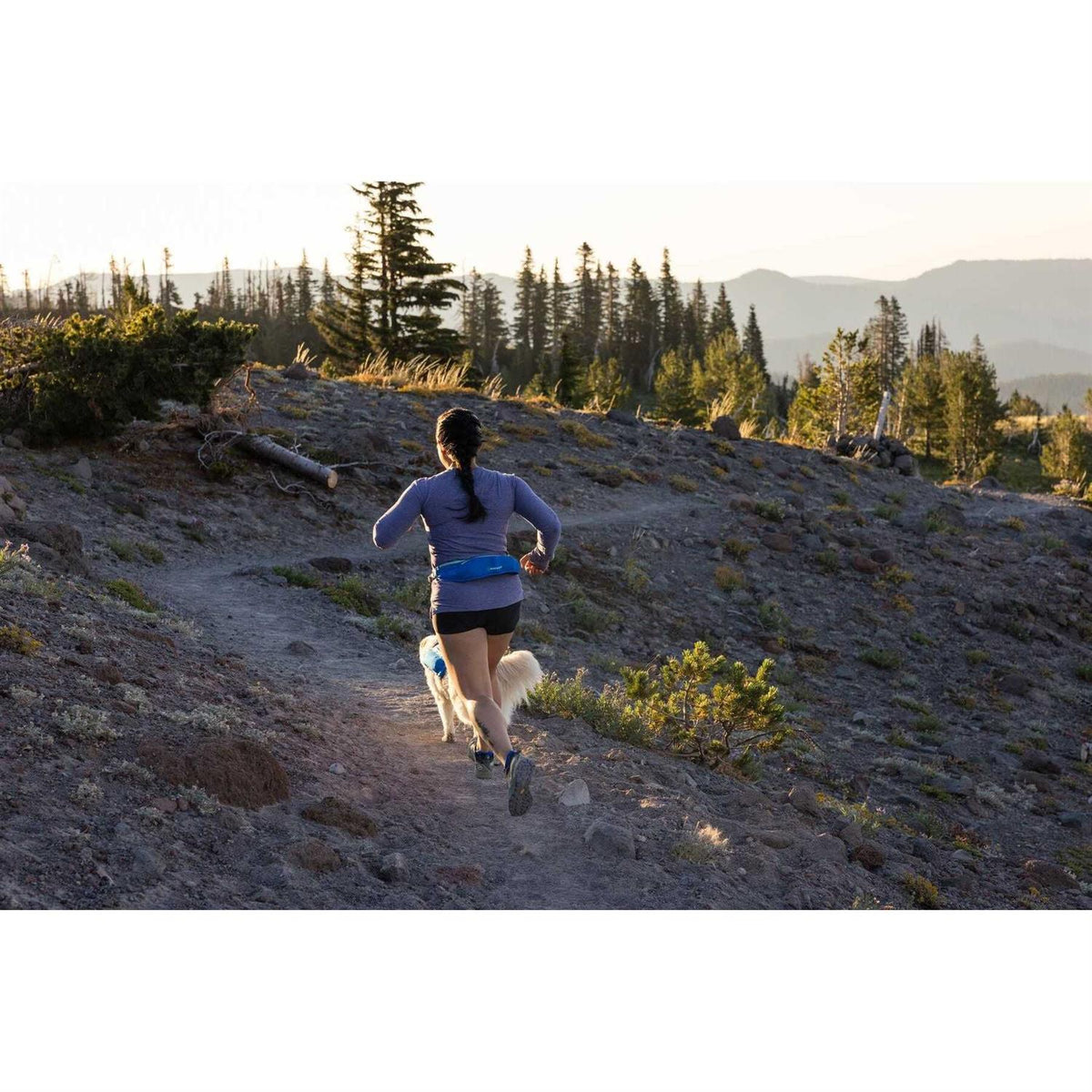 Trail Runner Belt M386