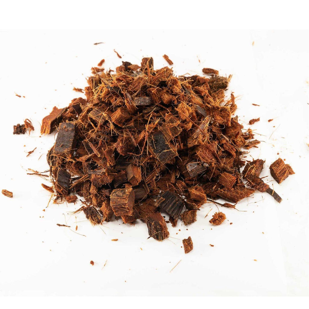 Coconut Chips I269655