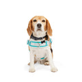 Easy On Training Dog Harness T16917