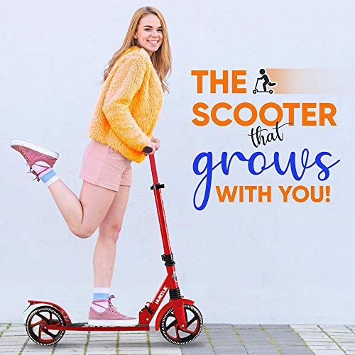 350W Motor Electric Scooter P83251