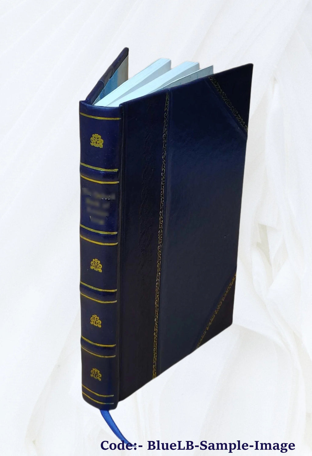 Leather Bound Bookbindings and Rubbings of Bindings Y320544