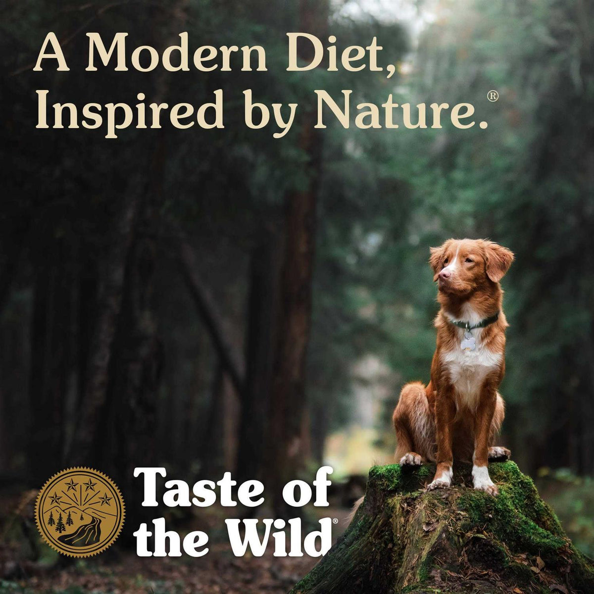 Smoked Salmon Dog Food H1540