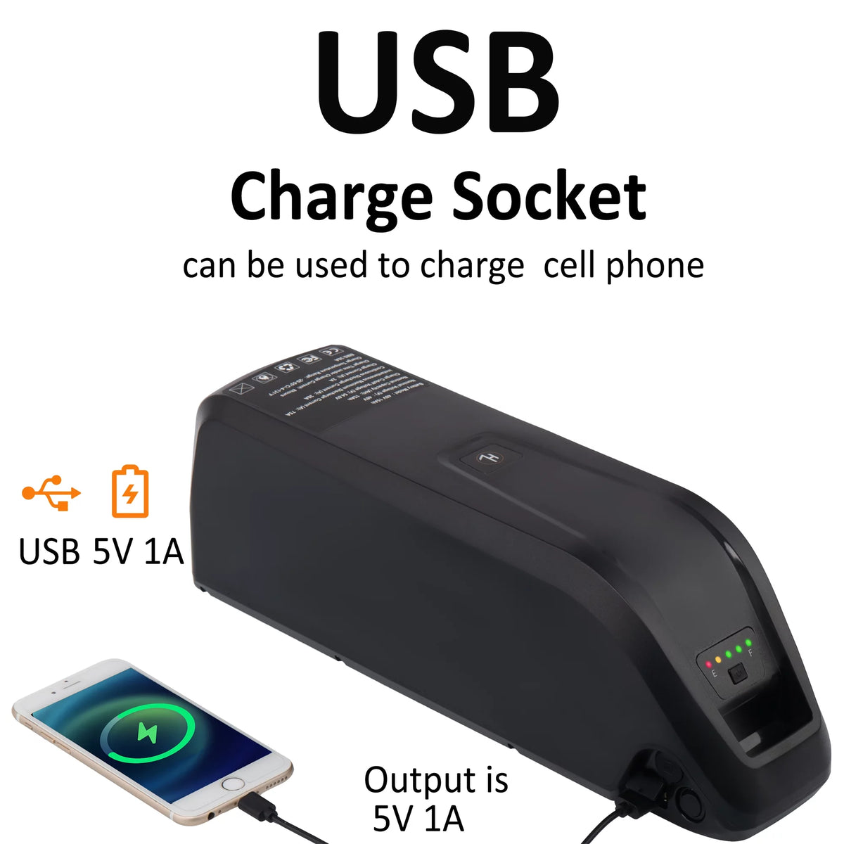 48V 10Ah Lithium Ebike Battery with Charger M249966