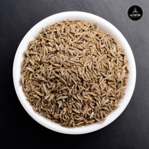 Garlic Ground Powder, 5lbs V8478