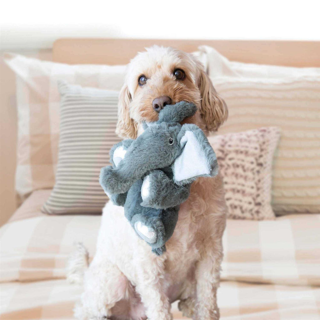 Bear Dog Toy B458730