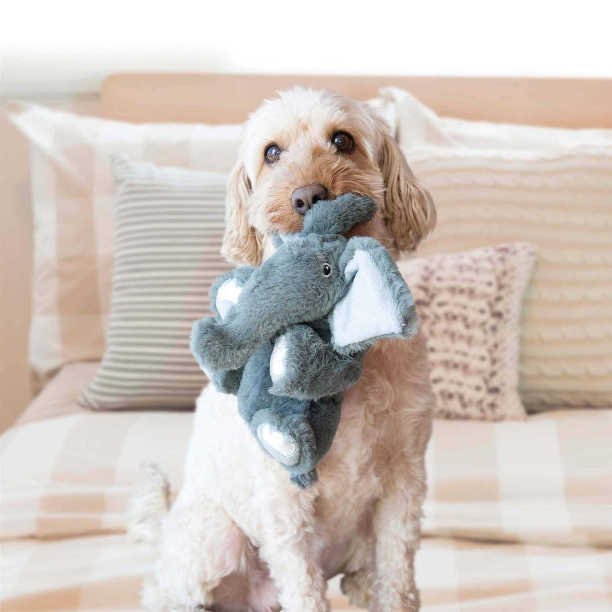 Bear Dog Toy B458730