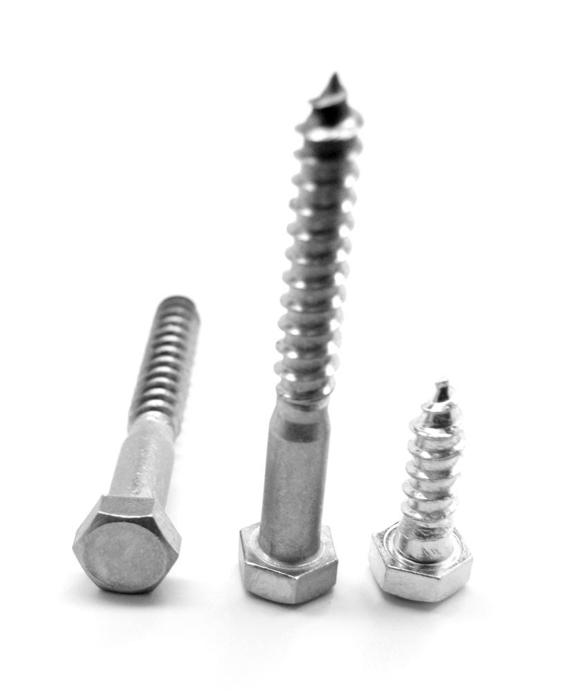 Hex Lag Screw Stainless Steel 18-8 Pk 10 M56023