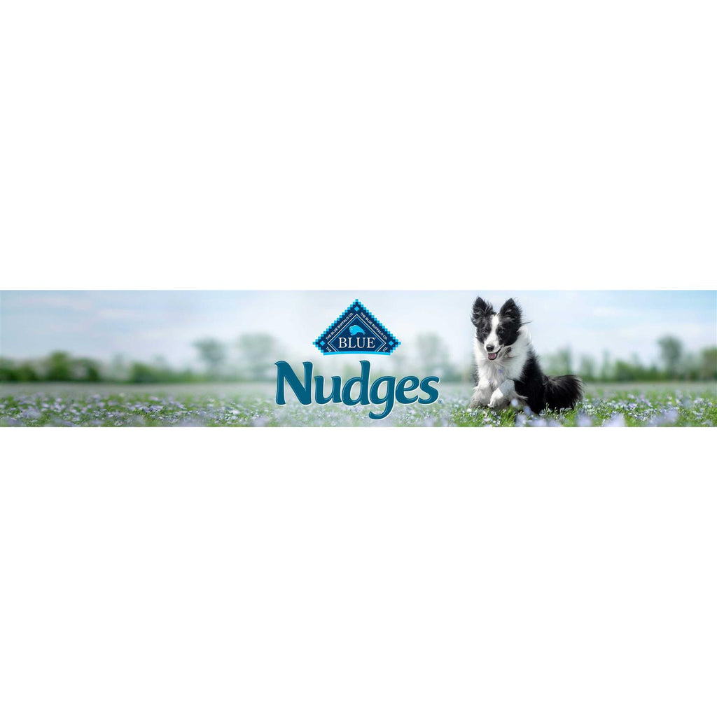 Chicken Natural Dog Treats W83953