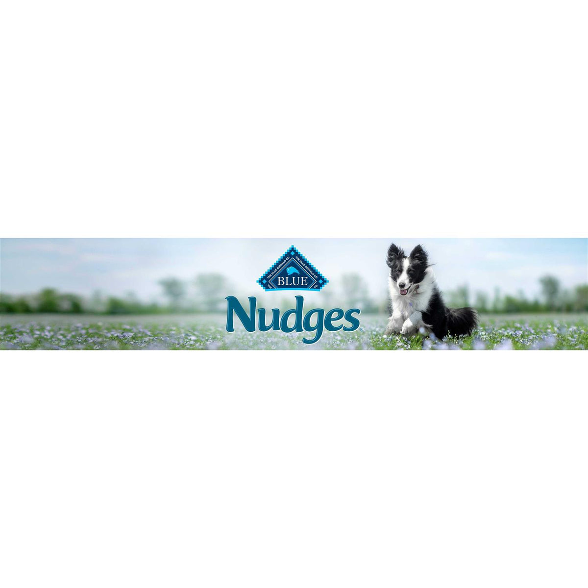 Chicken Natural Dog Treats W83953