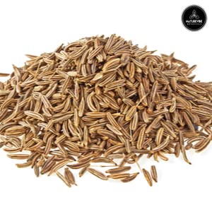 Garlic Ground Powder, 5lbs V8478