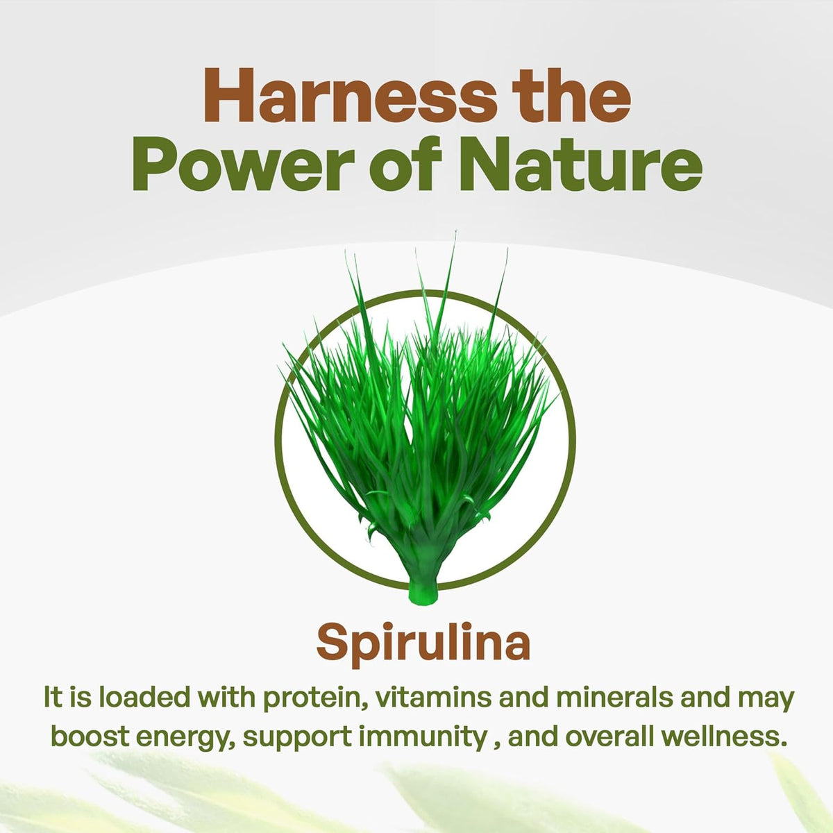 500 mg Organic Spirulina Tablets, 720 Tablets B91929