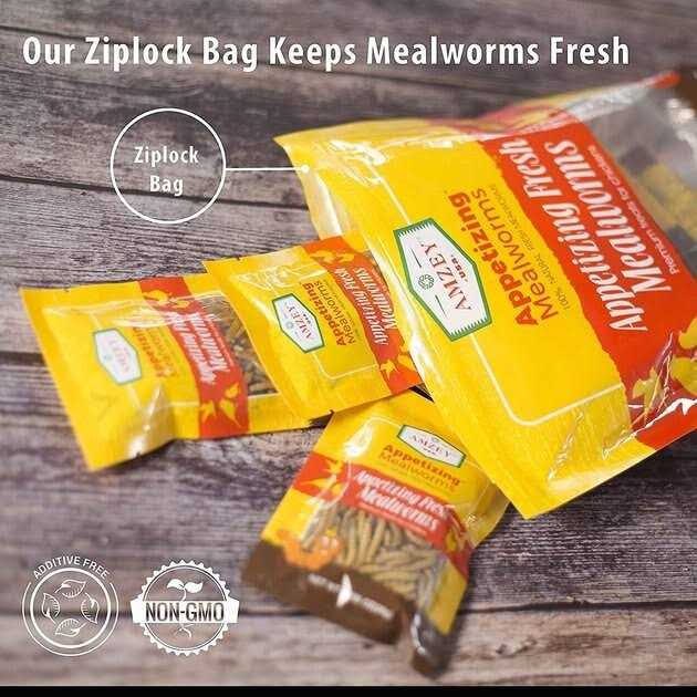 Fresh Mealworms Treats Z212568