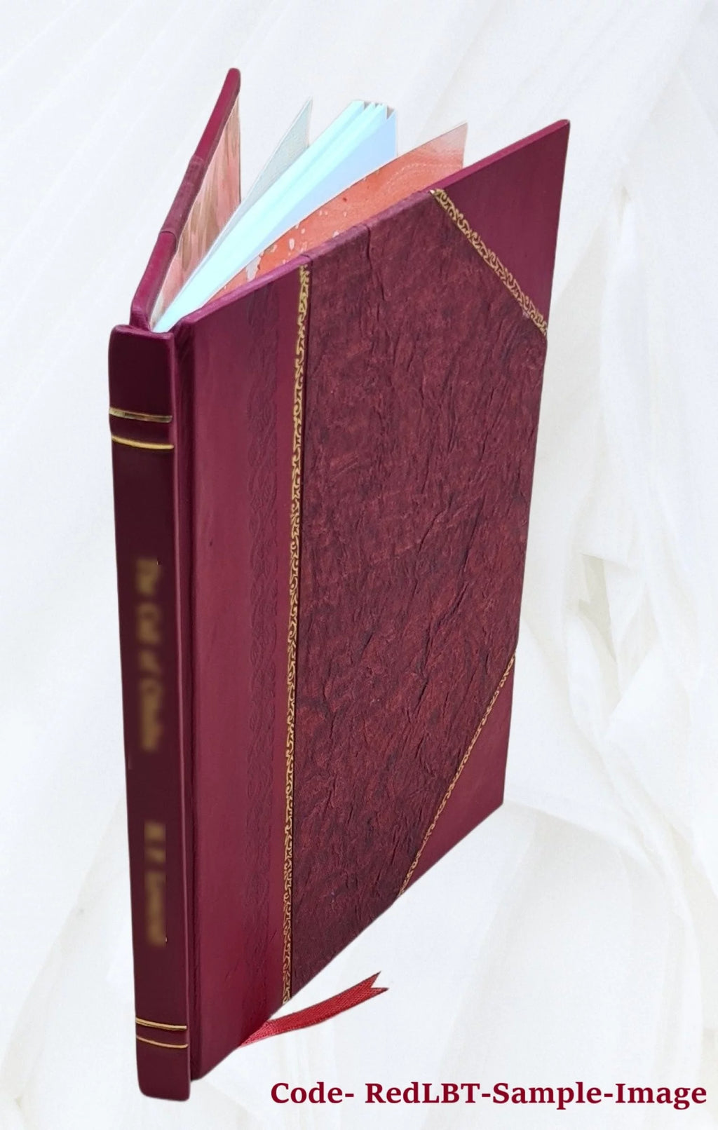 Park and Playground System Plan Leather Bound V8723