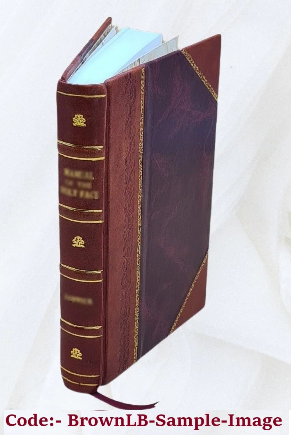 Toilette d'une Romaine et cosmetiques d'une Parisienne Leather Bound A598